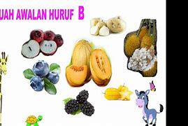 Sebutkan 4 Nama Buah Dari Huruf B